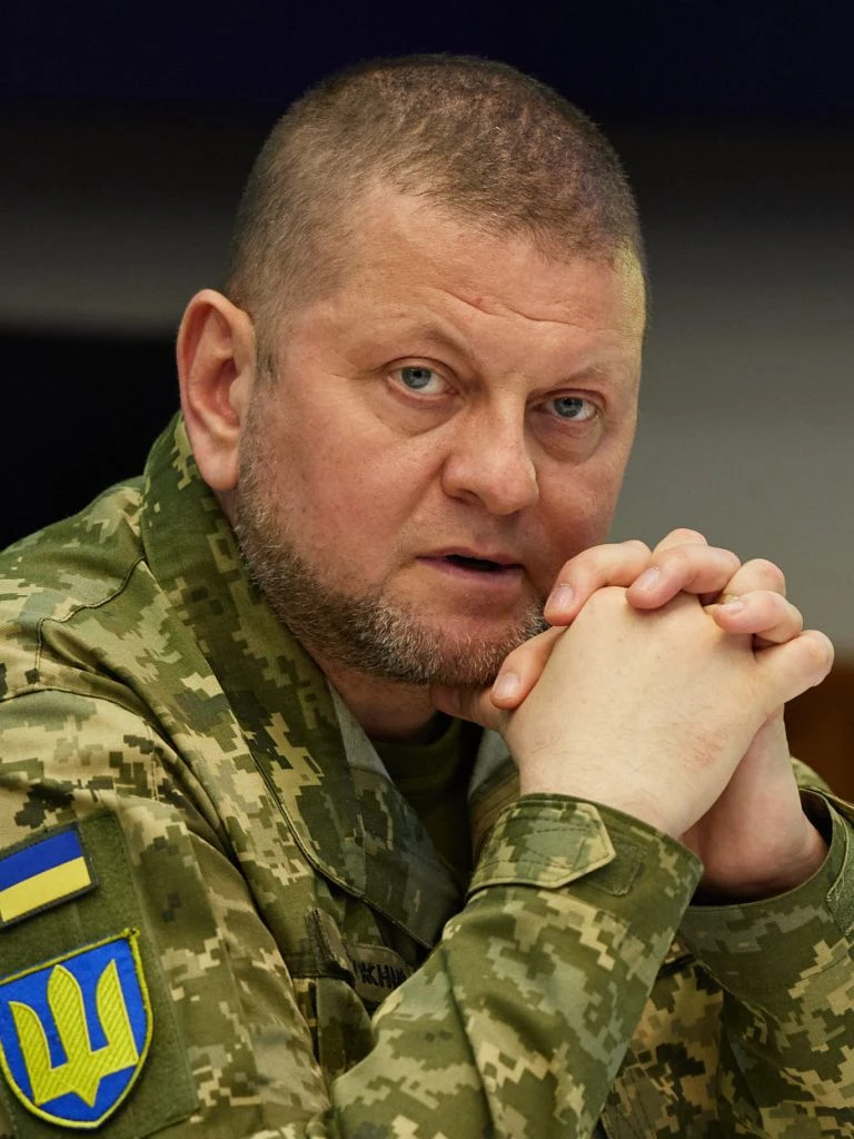 Залужний назвав урок 35 років Незалежності: жодні гарантії не замінять власної сили