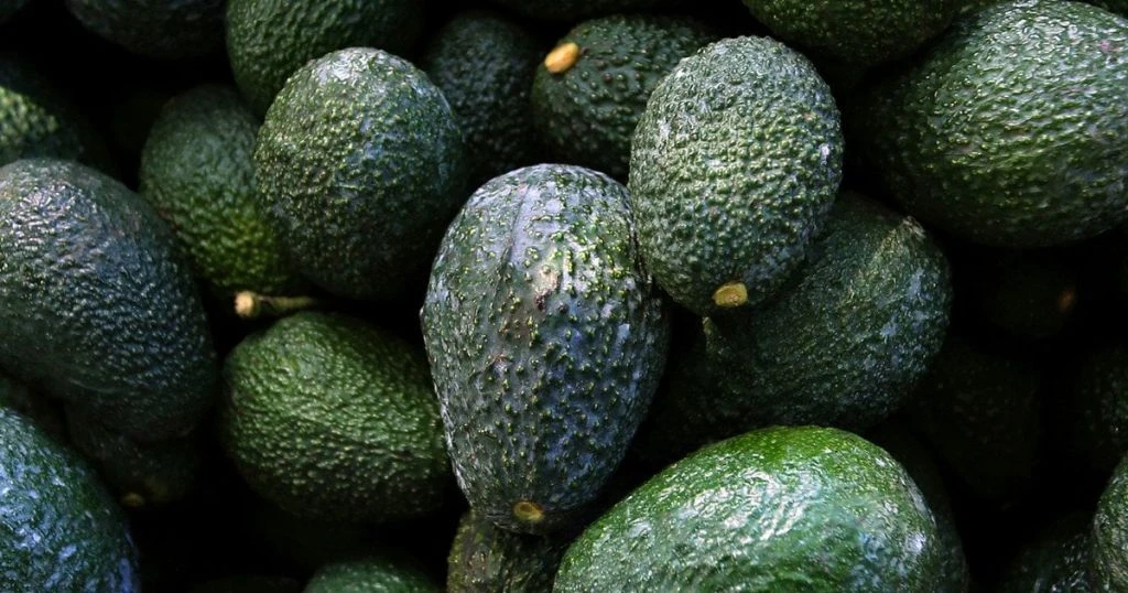 Авокадо не єдине джерело корисних жирів: 8 доступних продуктів для вашого меню